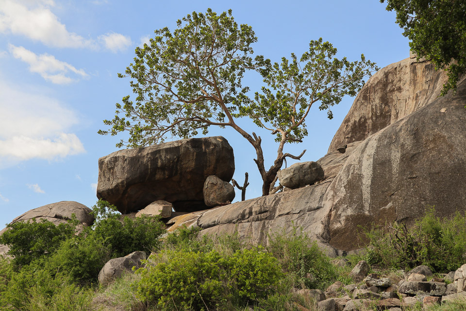 Serengeti NP, Tanzania