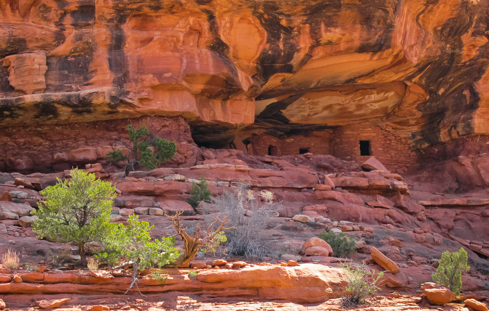 Ancient Anasazi Indian Ruins (The "Falling Roof")