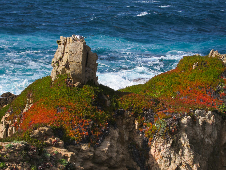 Big Sur, CA