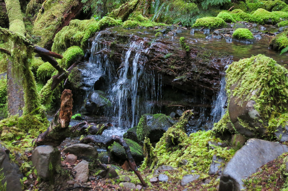 Small Waterfall, Sol Duc - Olympic National Park