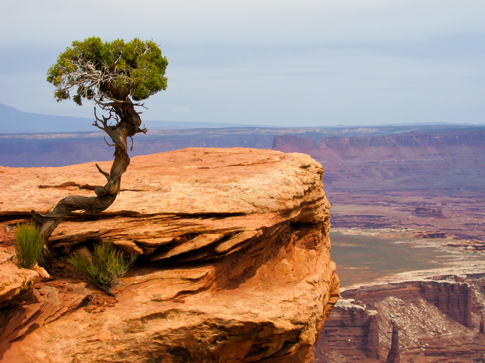 Canyonlands, UT