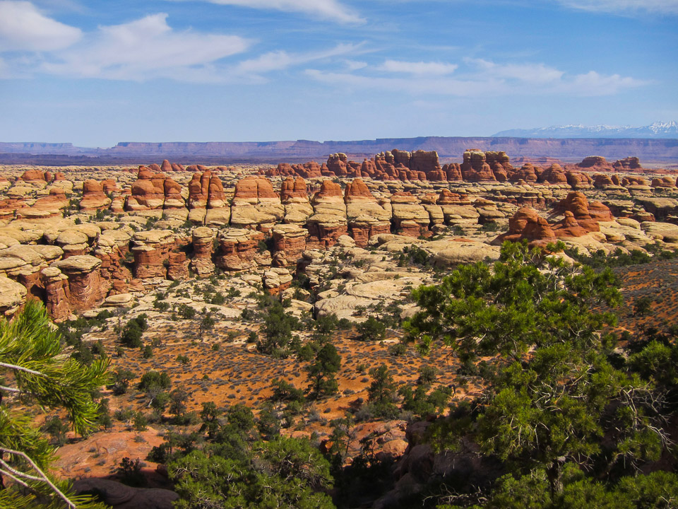 Needles - Canyonlands NP