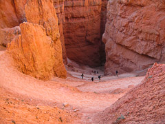 Navajo Trail - Bryce Canyon