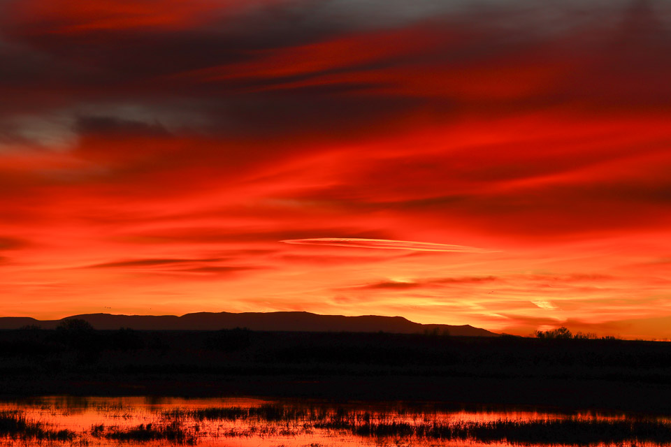 Sunrise, Bosque Del Apache National Wildlife Refuge – NM