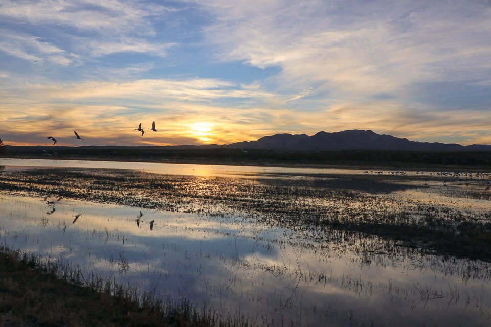 Sunrise, Bosque Del Apache National Wildlife Refuge – NM