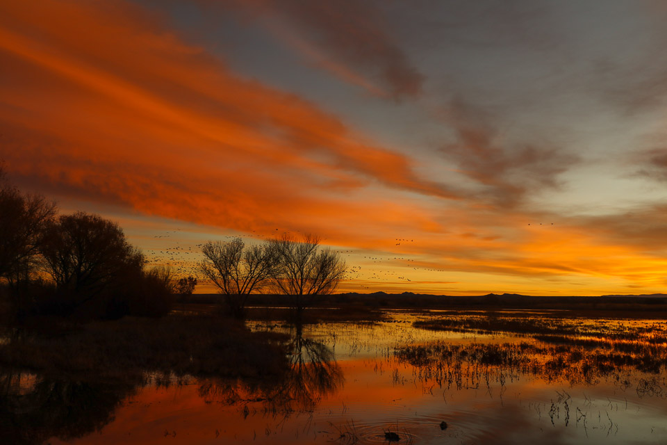 Sunrise, Bosque Del Apache National Wildlife Refuge – NM