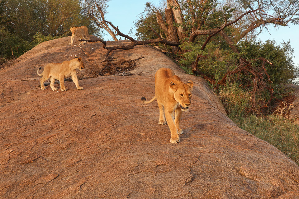 Serengeti NP, Tanzania