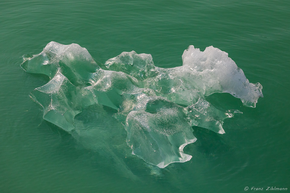 Floating Ice - Tracy Arm, AK