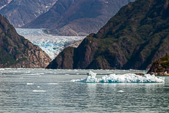 Distant view of South Sawyer Glacier - Tracy Arm, AK