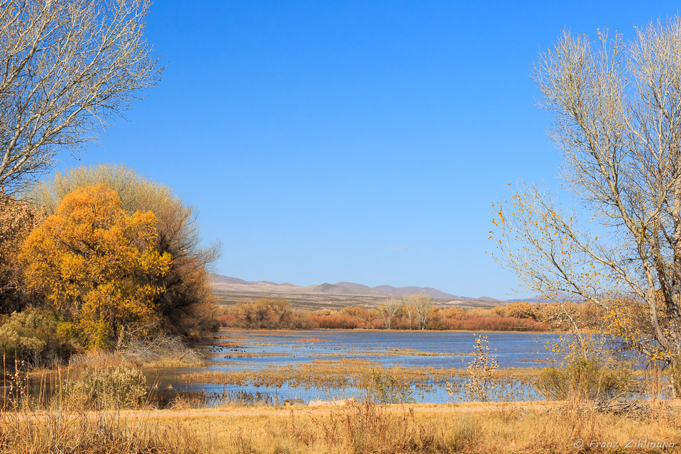 Bosque Del Apache National Wildlife Refuge – NM