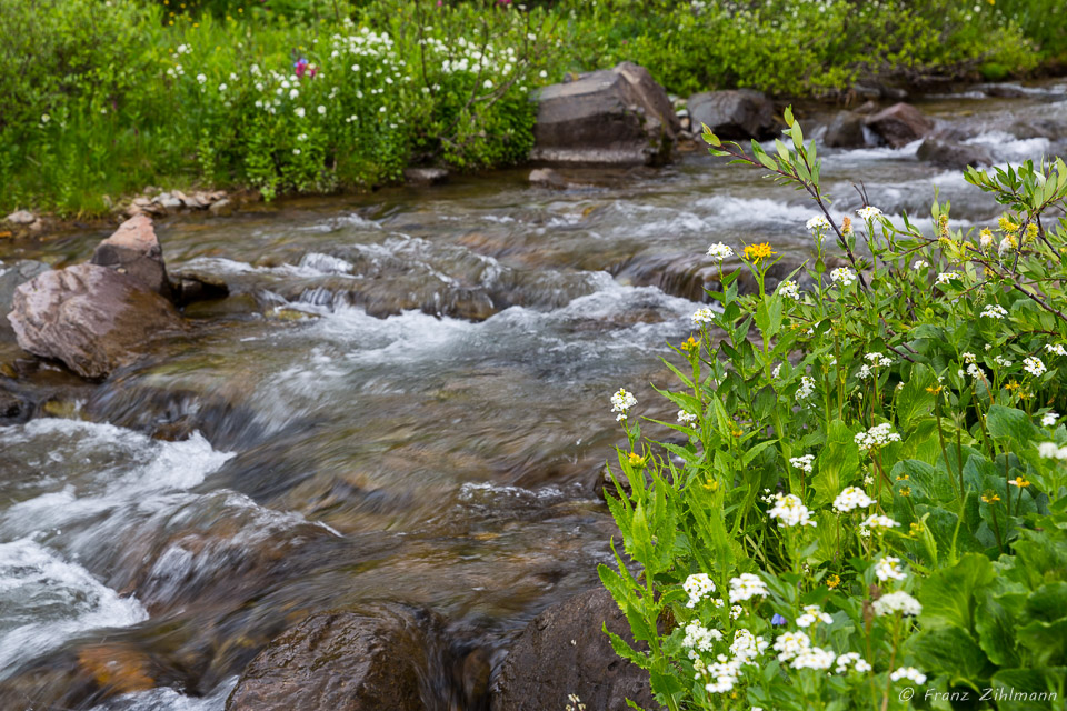 Below Twin Falls - Yankee Boy Basin, CO