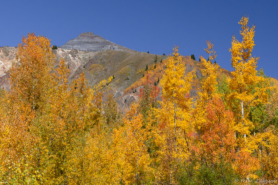 Vistas from Red Mountain Pass