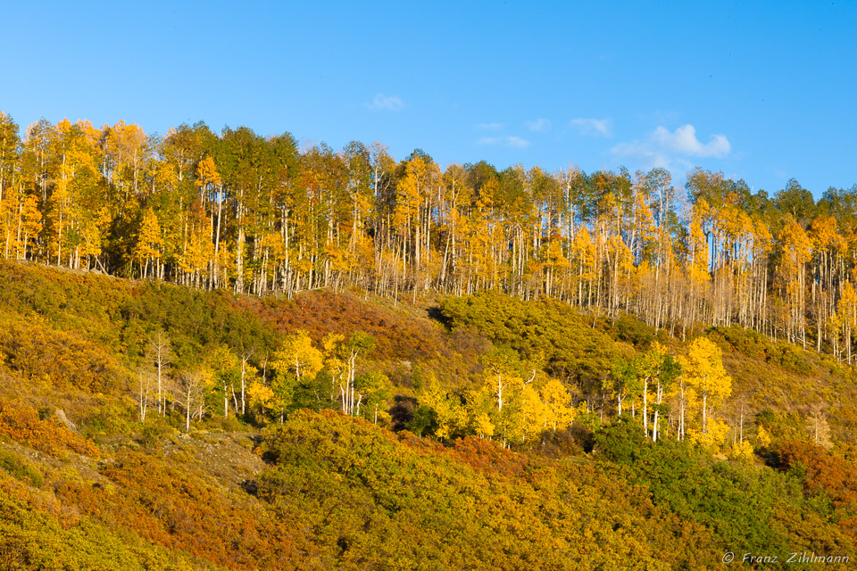 Sunset Scene near Blaine Basin – Ridgeway, CO