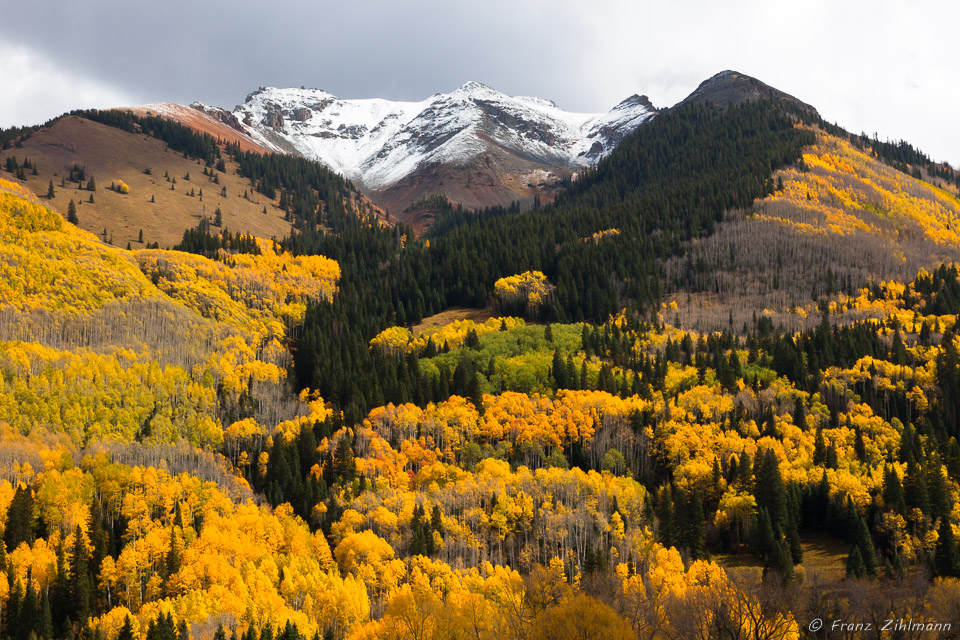 Morning Scene near Trout Lake - Telluride, CO