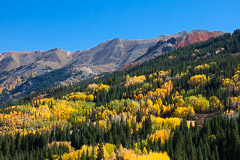 Colorado
