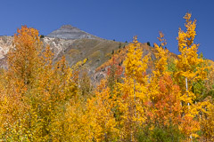 Vistas from Red Mountain Pass