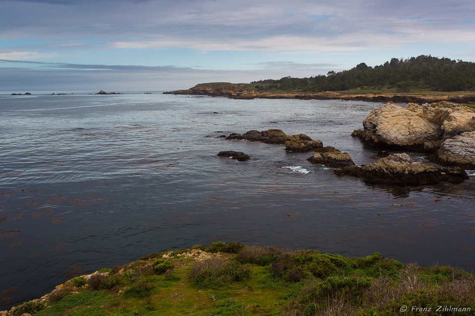 Point Lobos State Reserve CA