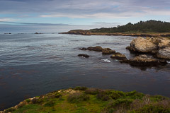 Point Lobos State Reserve CA