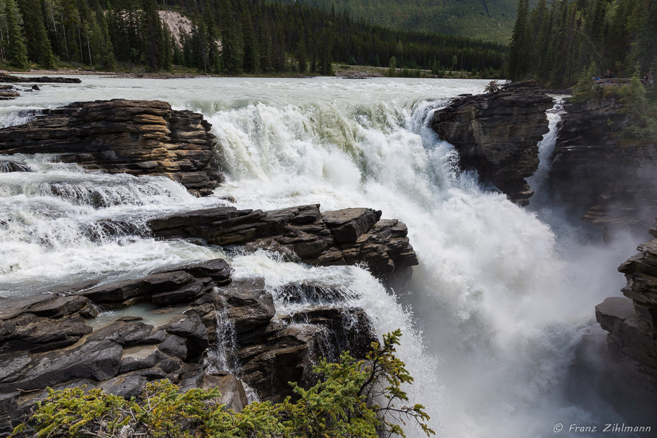 Athabasca Falls - Canadian Rockies, Alberta, CA
