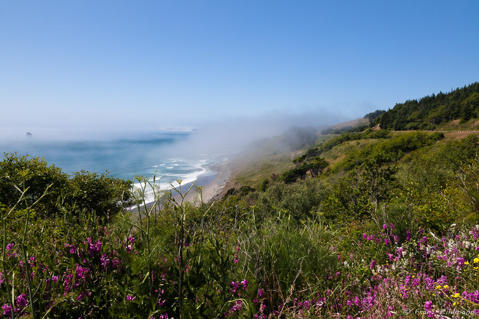 Southern Oregon Coast