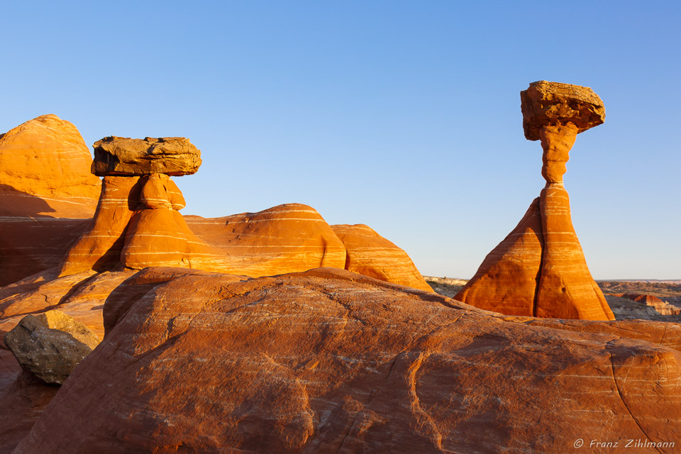 Toadstool Hoodoo - Grand Staircase Escalante