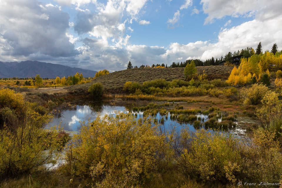 Pond at Willow Flats - Grand Teton NP