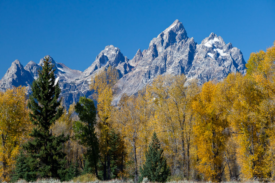 Scene Near Cunningham Cabin