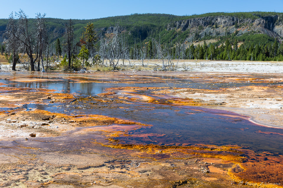 Black Sand Basin - Yellowstone NP