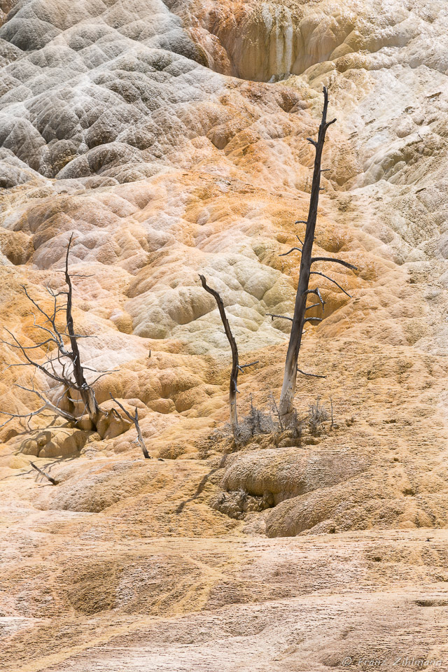 Mammoth Hot
 Springs - Yellowstone NP