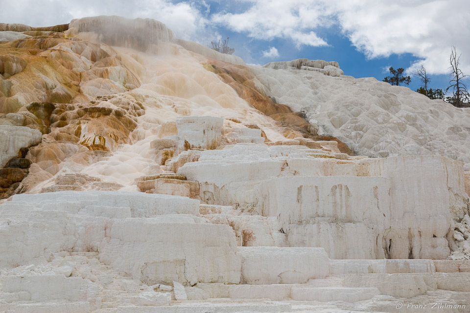 Mammoth Hot
 Springs - Yellowstone NP