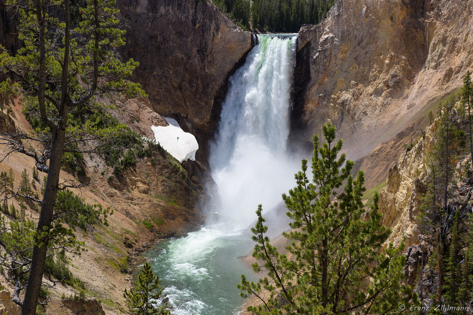 Lower Falls - Yellowstone NP