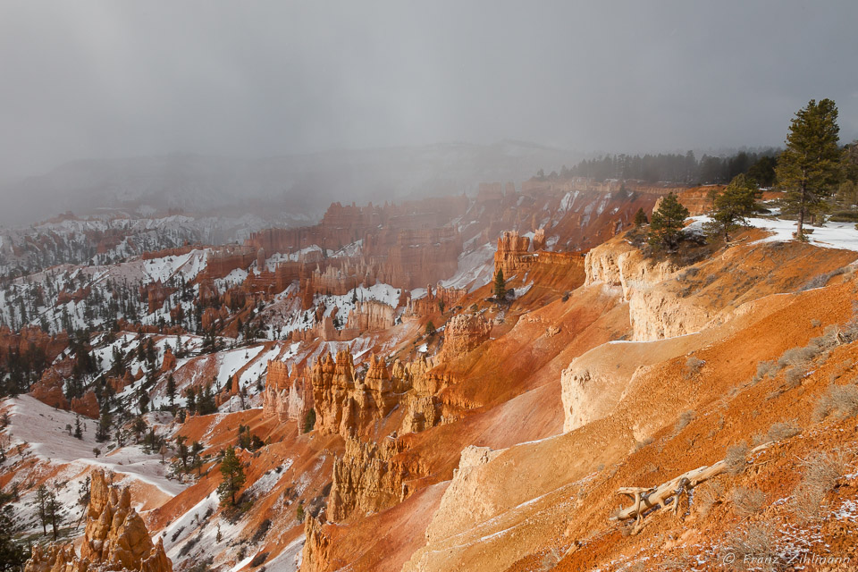 Sunrise at Bryce Canyon