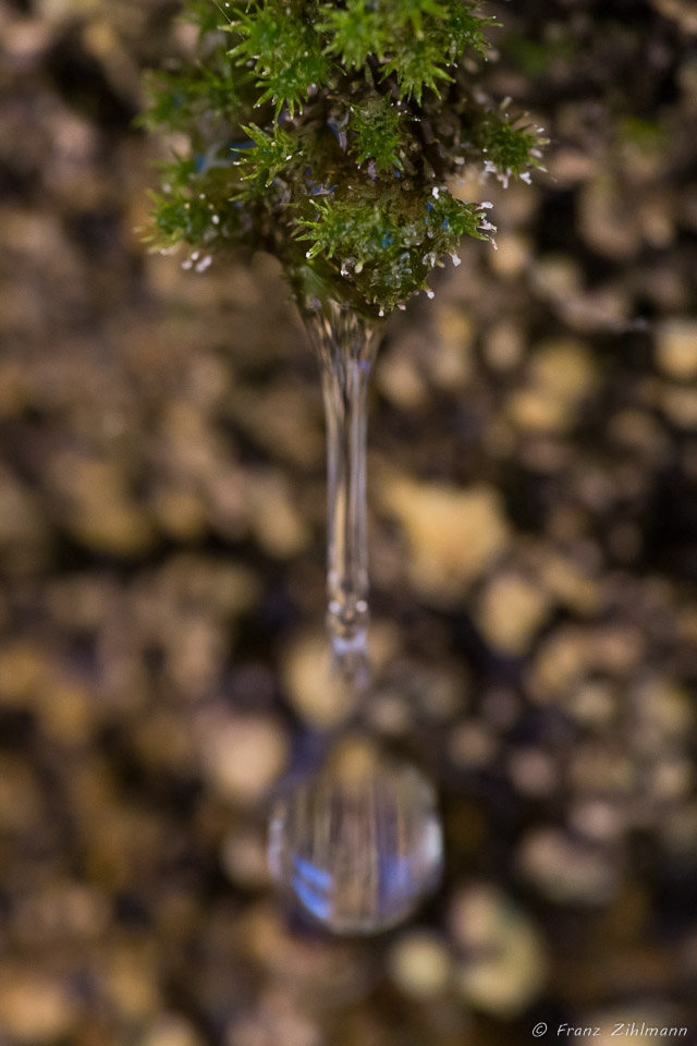 Falling Water Drop, Weeping Rock - Zion National Park