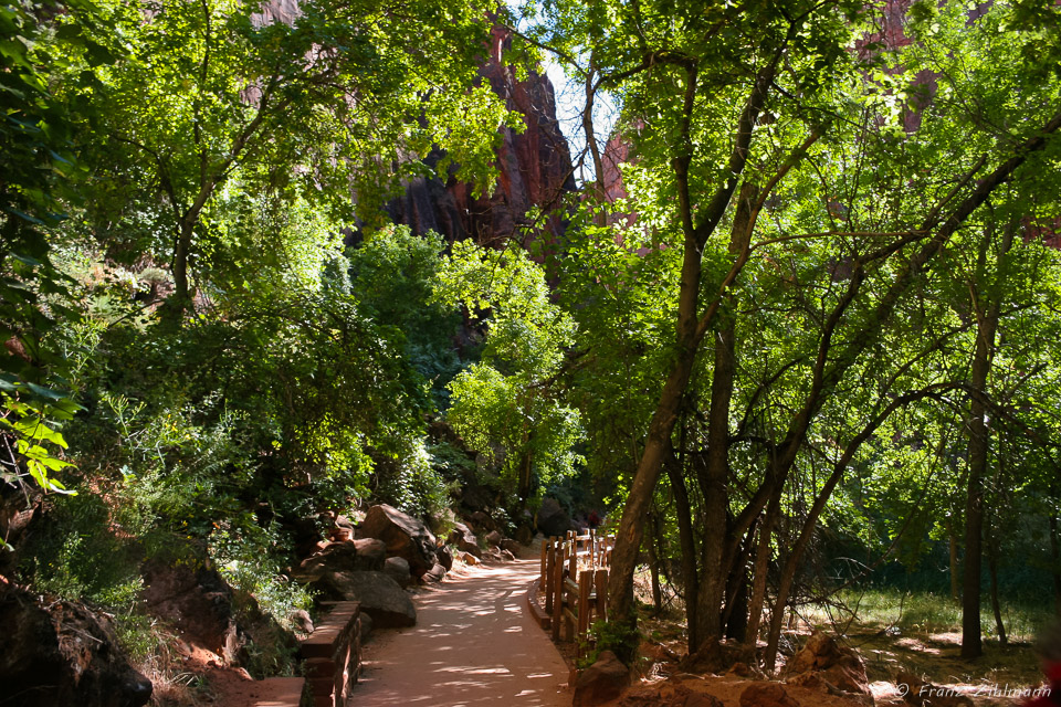 Zion National Park