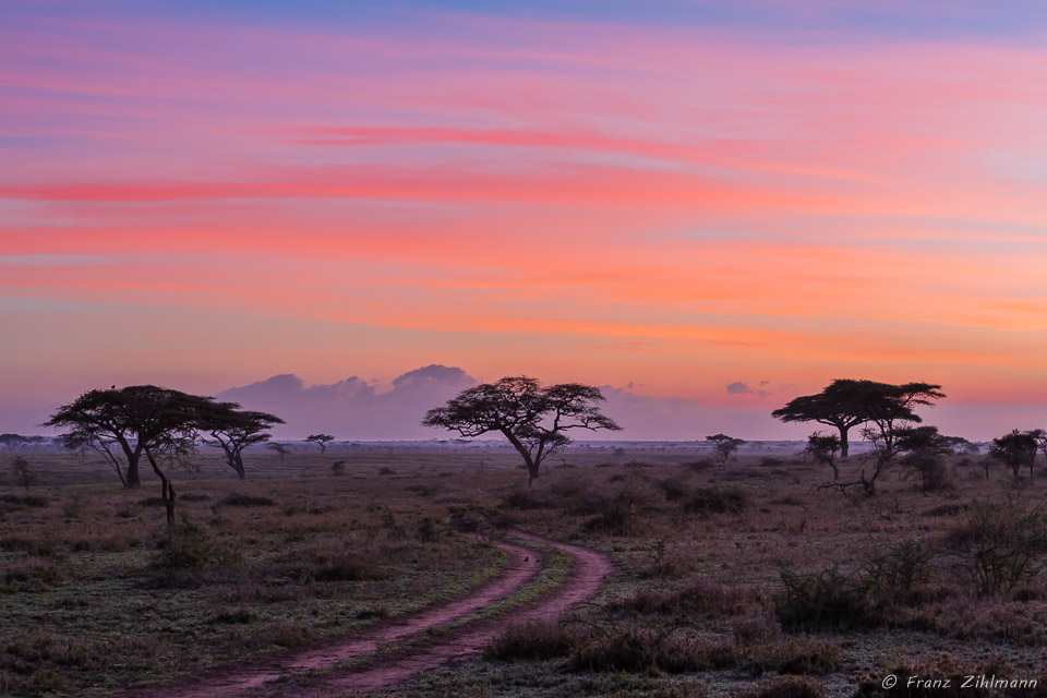 Sunrise - Namiri Plains, Serengeti NP, Tanzania