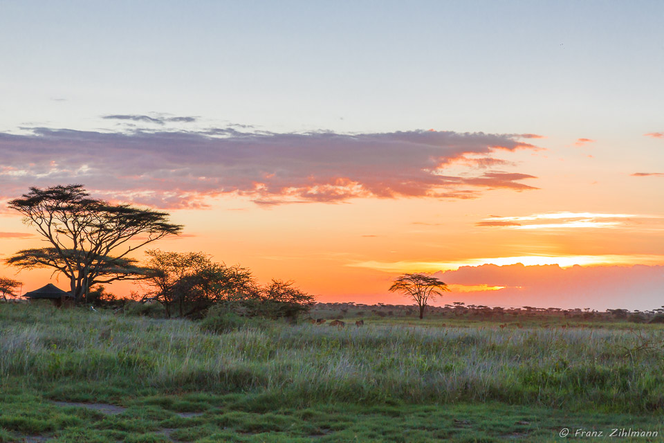 Sunset - Namiri Plains, Serengeti NP, Tanzania