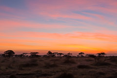 Sunrise - Namiri Plains, Serengeti NP, Tanzania
