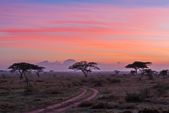 Sunrise - Namiri Plains, Serengeti NP, Tanzania