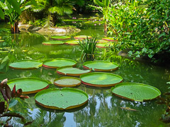Botanical Garden – Singapore