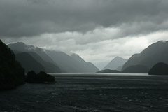Sailing into Milford Sound, NZ